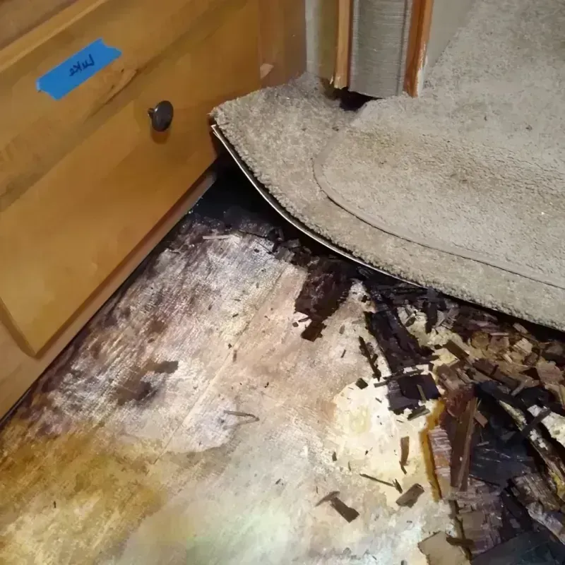 Best Wood Floor Water Damage Service in Kennebec, SD